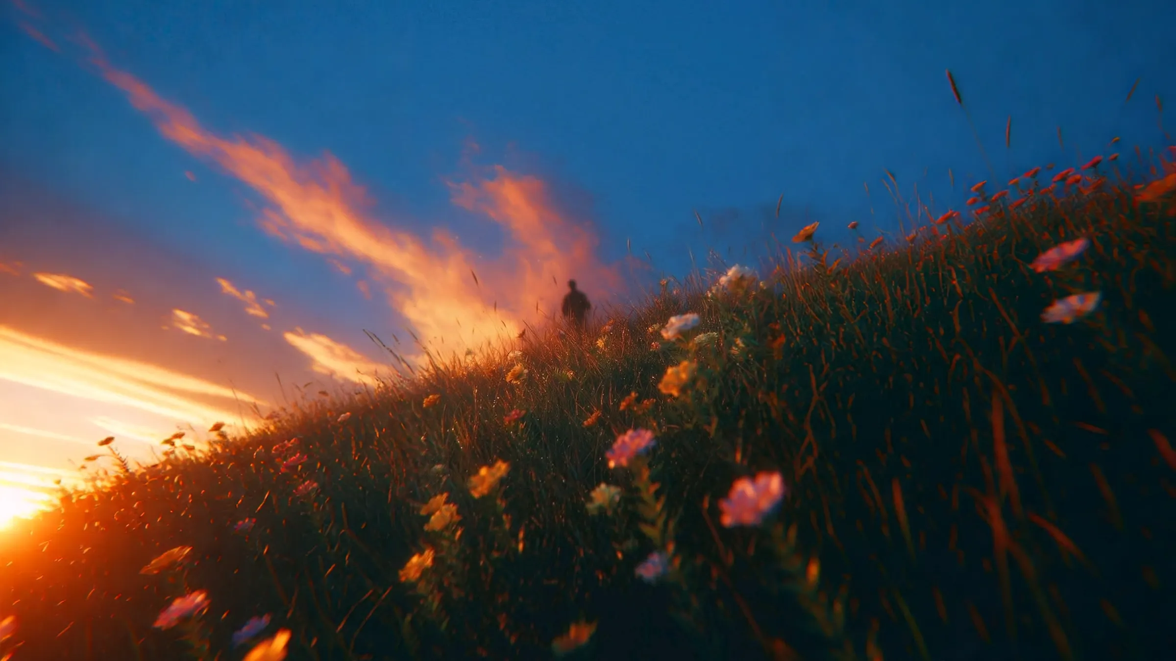 A flower meadow at dusk, a silhouette standing against the last orange light