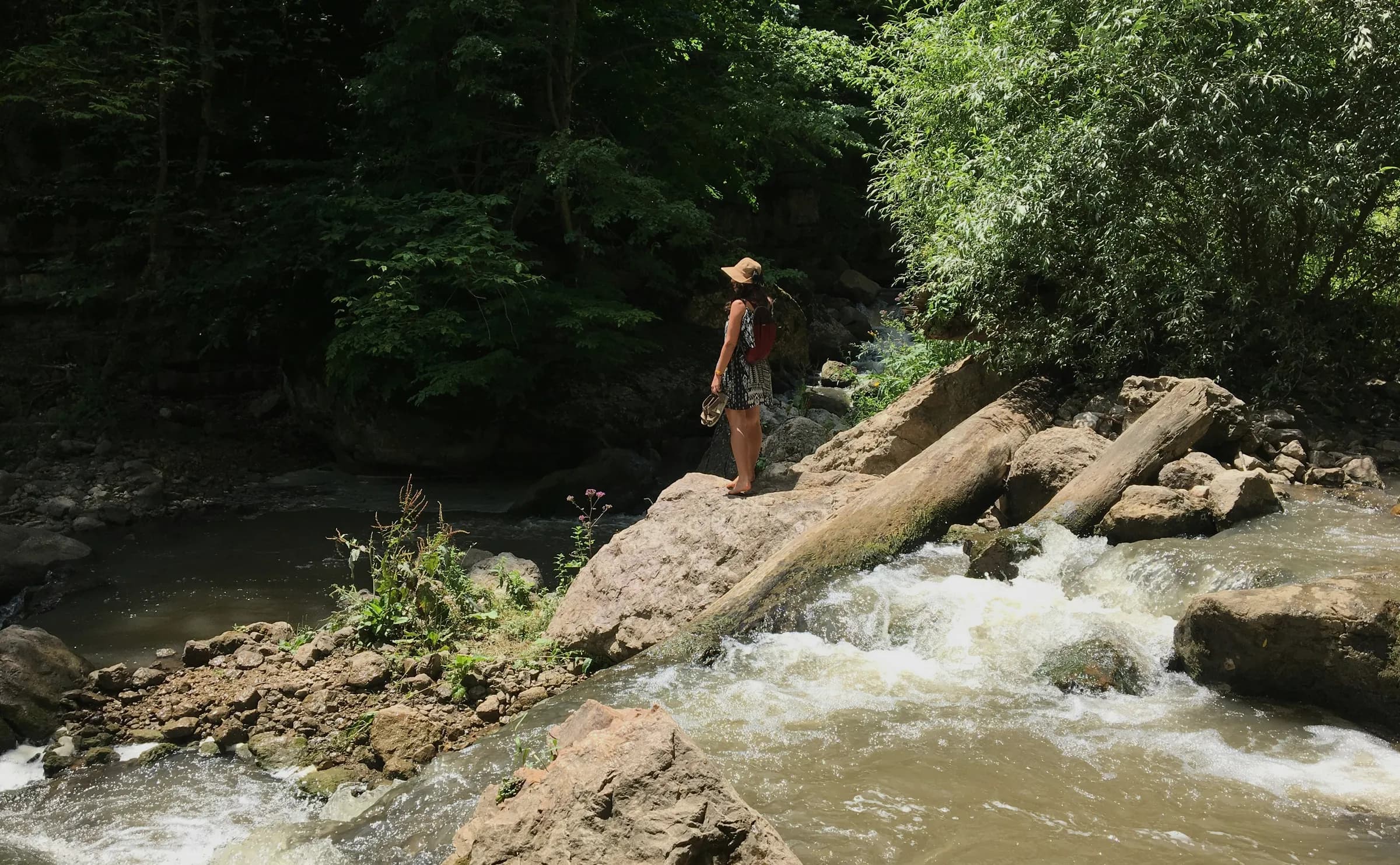 A visitor standing on the boulders of the river, in the middle of the ravine's green