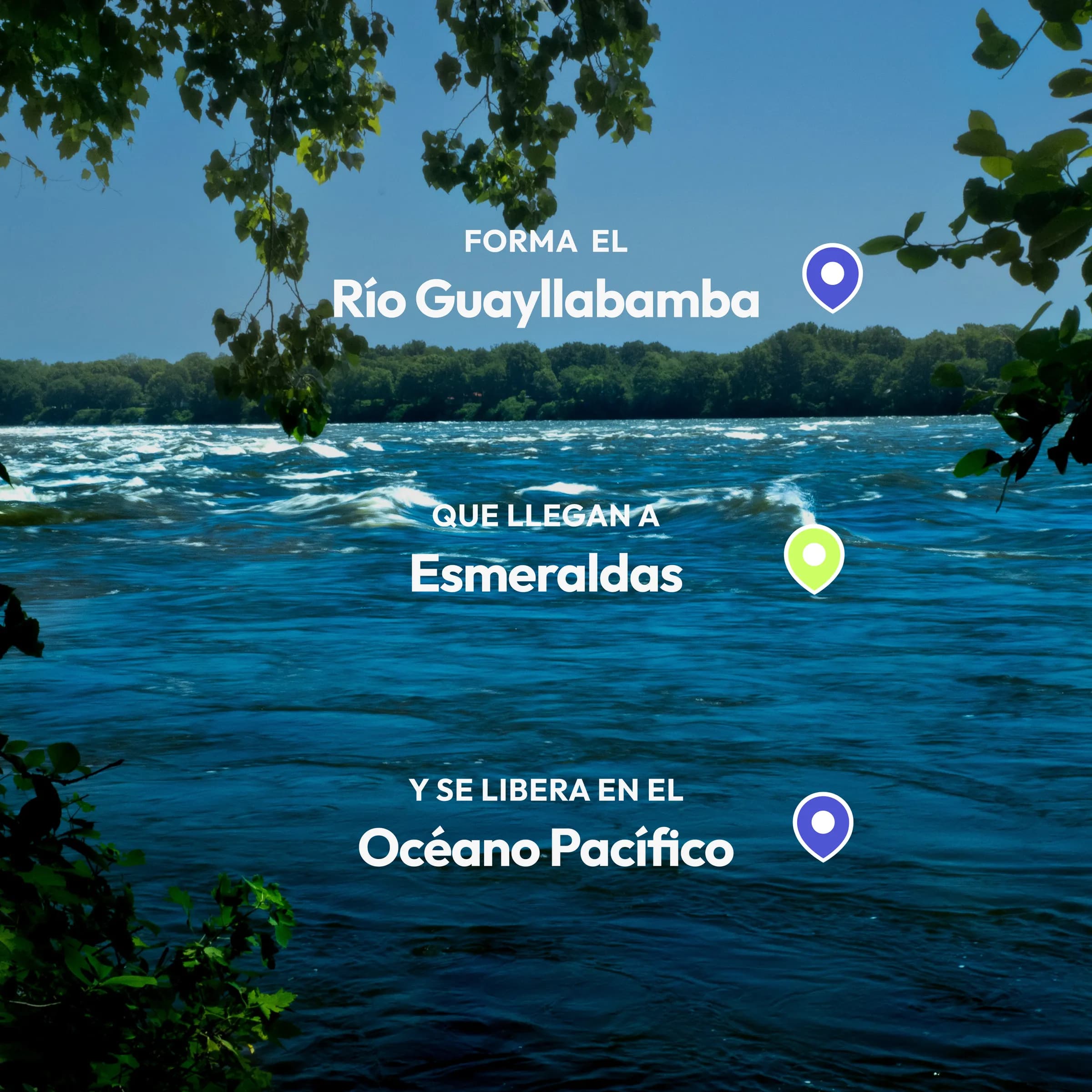 Campaign infographic tracing the water: it forms the Guayllabamba river, reaches Esmeraldas, and is released into the Pacific